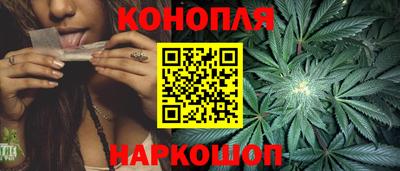 крисы Кинель